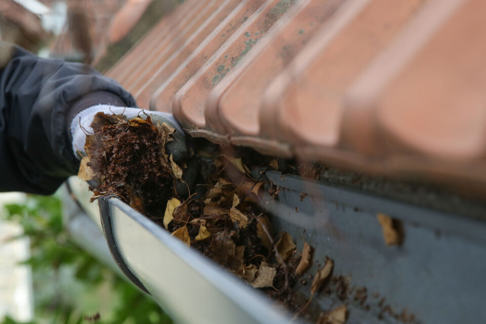 man removing leaves from gutter